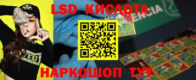 крисы Бийск