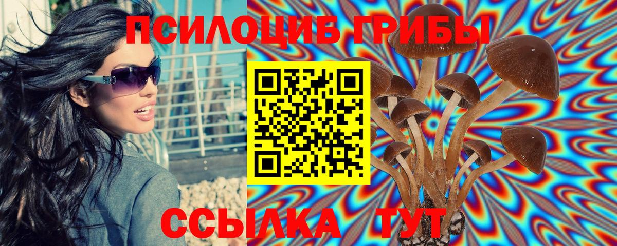 Нефтекумск  что такое   Галлюциногенные грибы GOLDEN TEACHER  Вход с VPN  Галлюциногенные грибы Psilocybe 